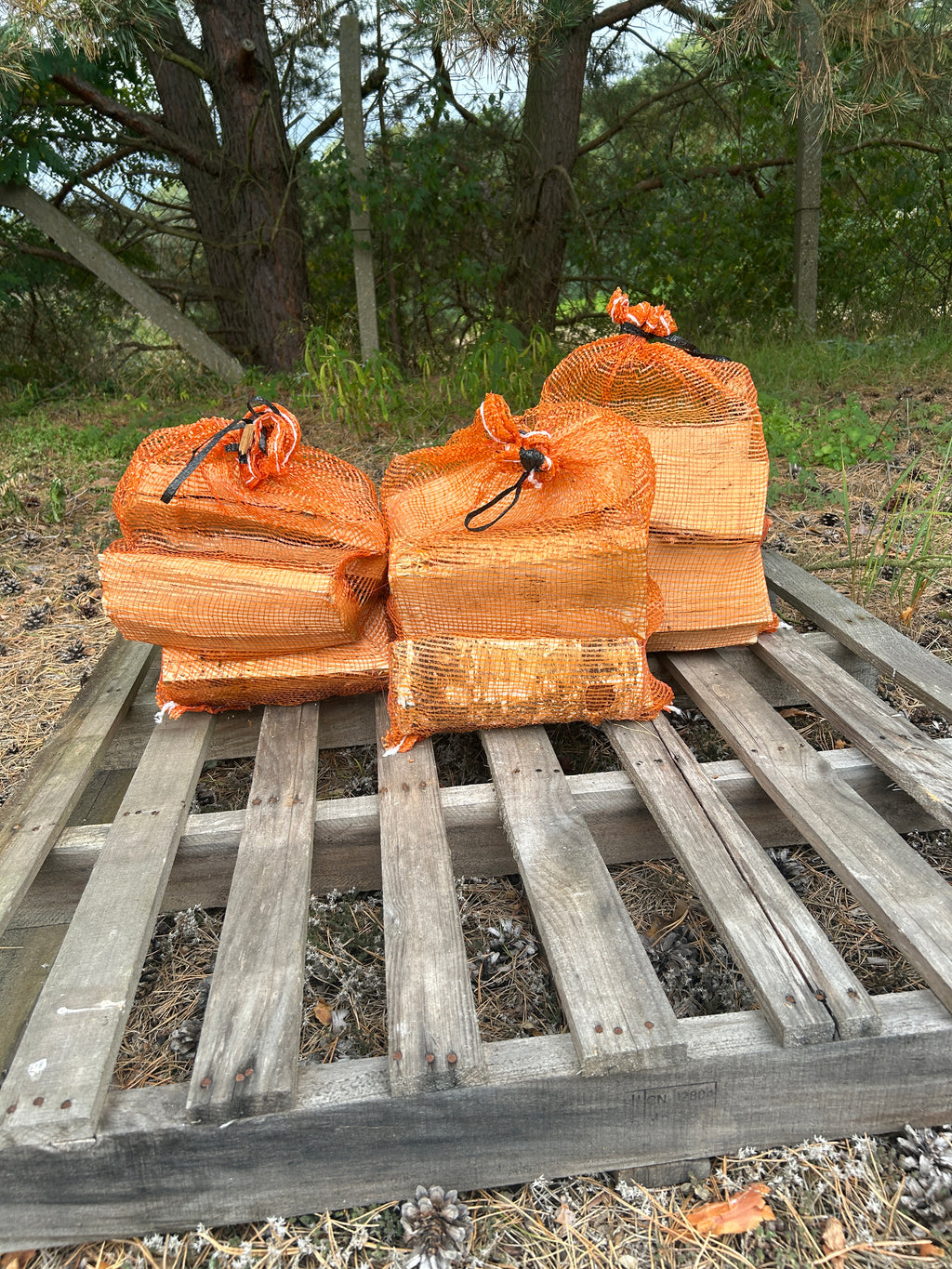 Kaminholz BT Birke im 8kg Sack - Kammergetrocknet