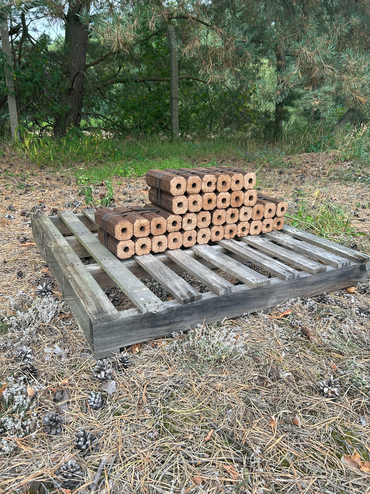 Molli Holzbriketts dunkel - 10kg Paket á 12 Stück