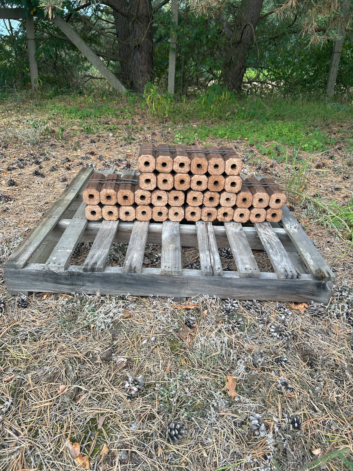 Molli Holzbriketts dunkel - 10kg Paket á 12 Stück
