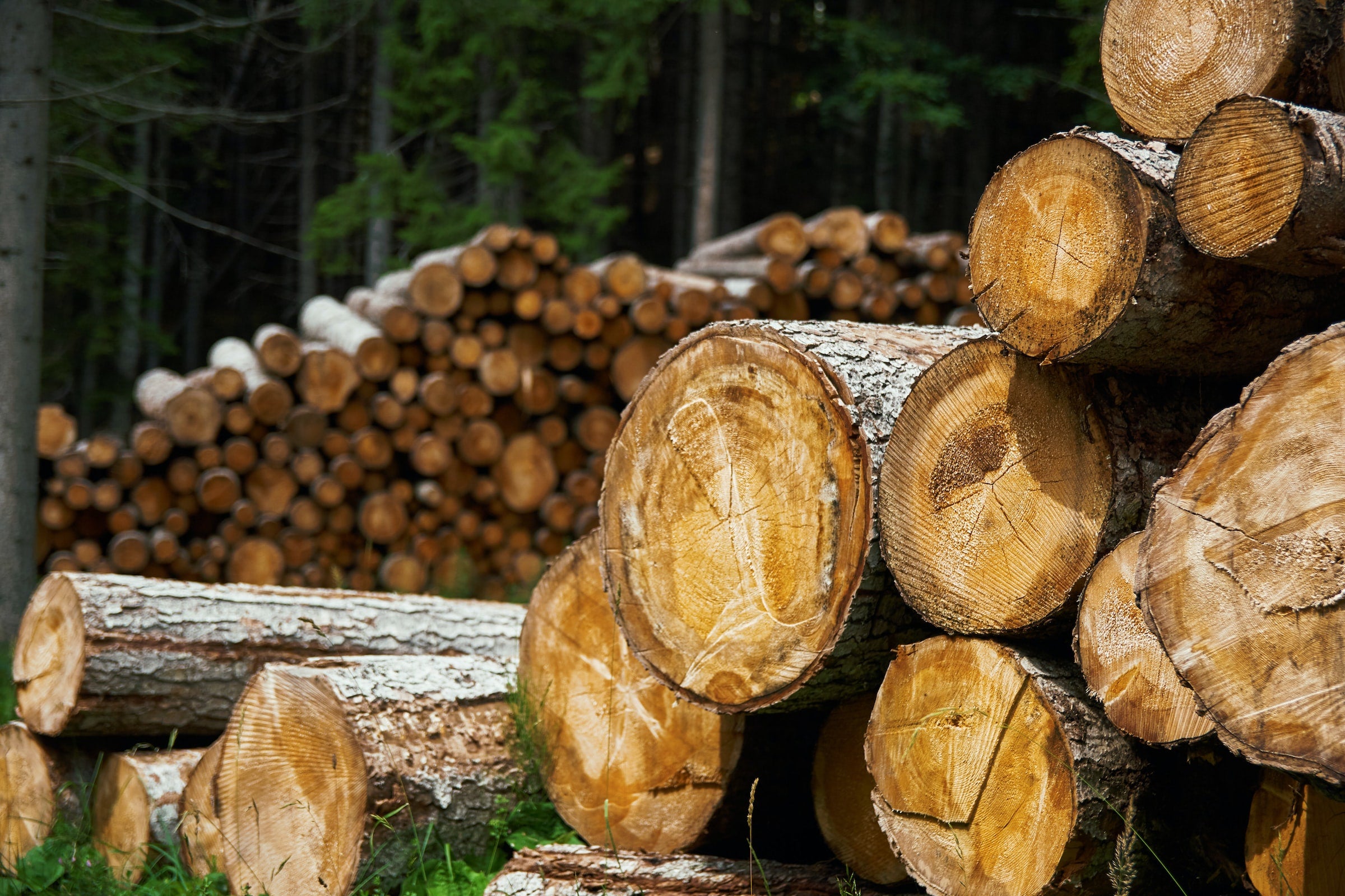 Holzhandel